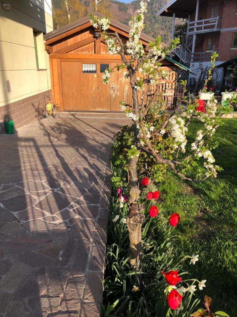 Appartamento Luminoso, Giardino, Vista Dolomiti. Baselga di Pinè Εξωτερικό φωτογραφία