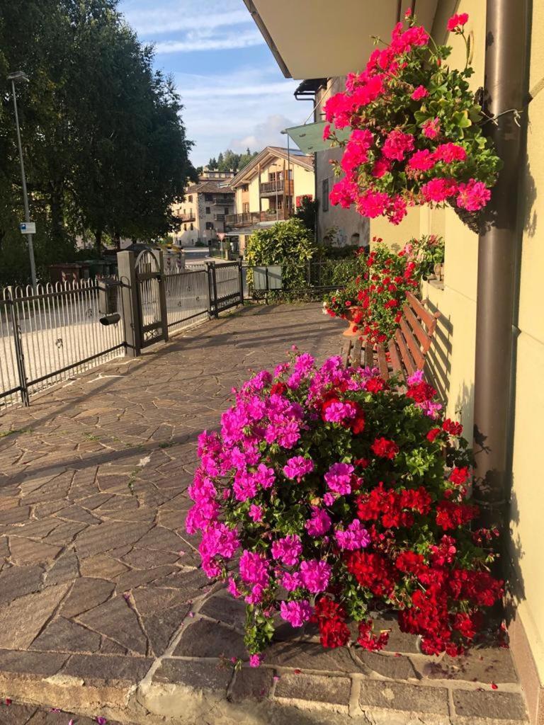 Appartamento Luminoso, Giardino, Vista Dolomiti. Baselga di Pinè Εξωτερικό φωτογραφία